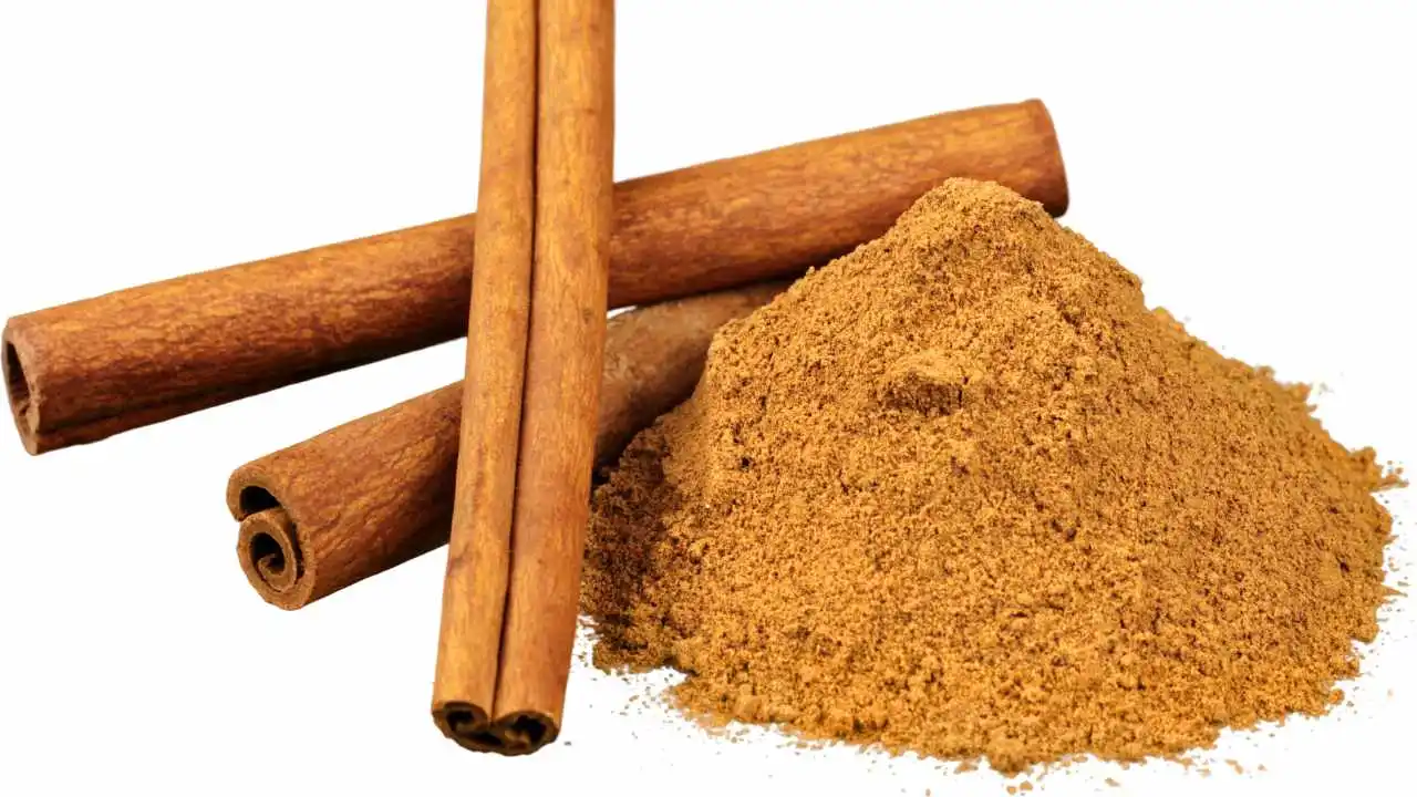 Are Bully Sticks Safe for Dogs? A Dog Owner’s Honest Take