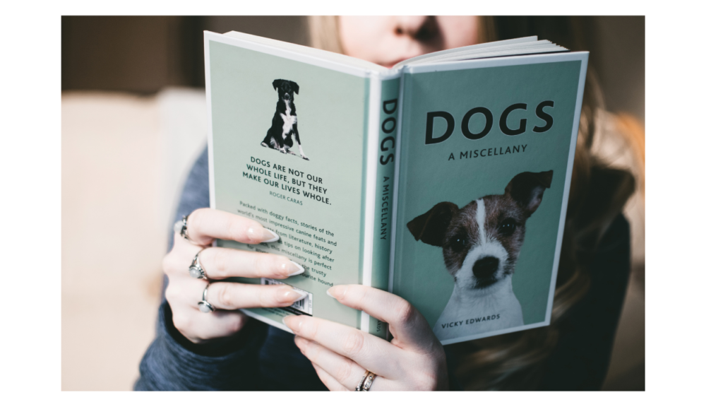 Fun Story Ideas to Try with Your Dog