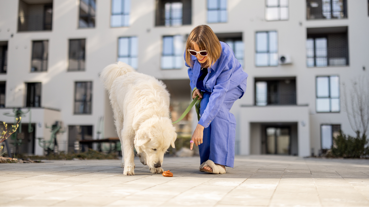 How Do You Pick Up Your Large Dogs Poops