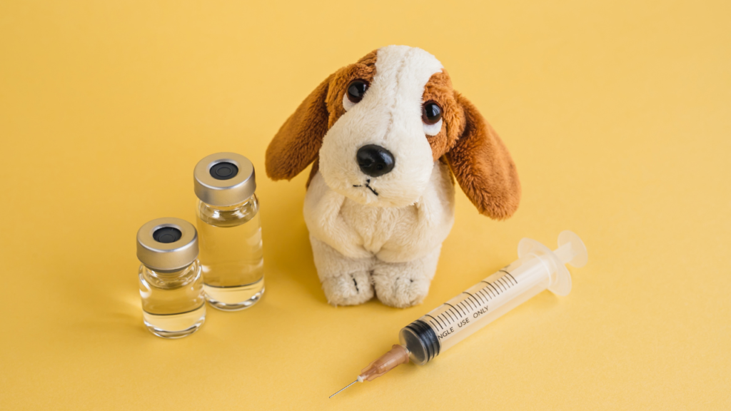 Why Choose Heartworm Injections Over Other Methods?