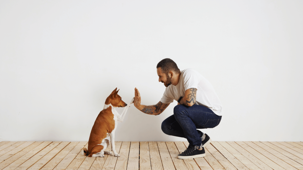 a Dog to Sit Like a Human