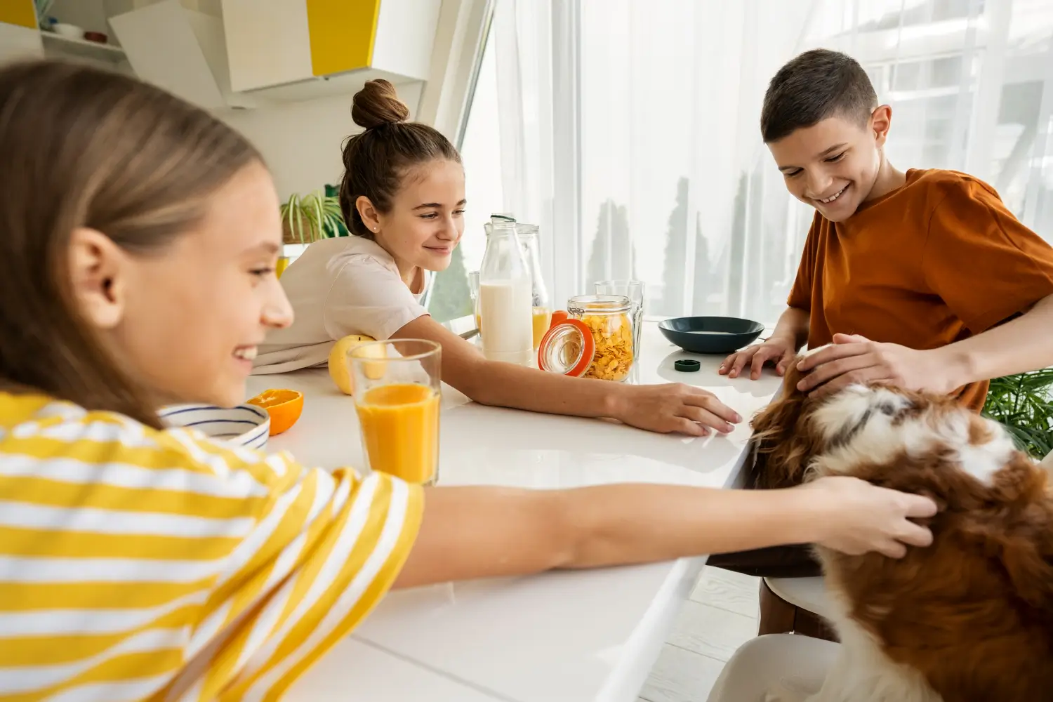 Top Dog-Friendly Restaurants in Flagstaff
