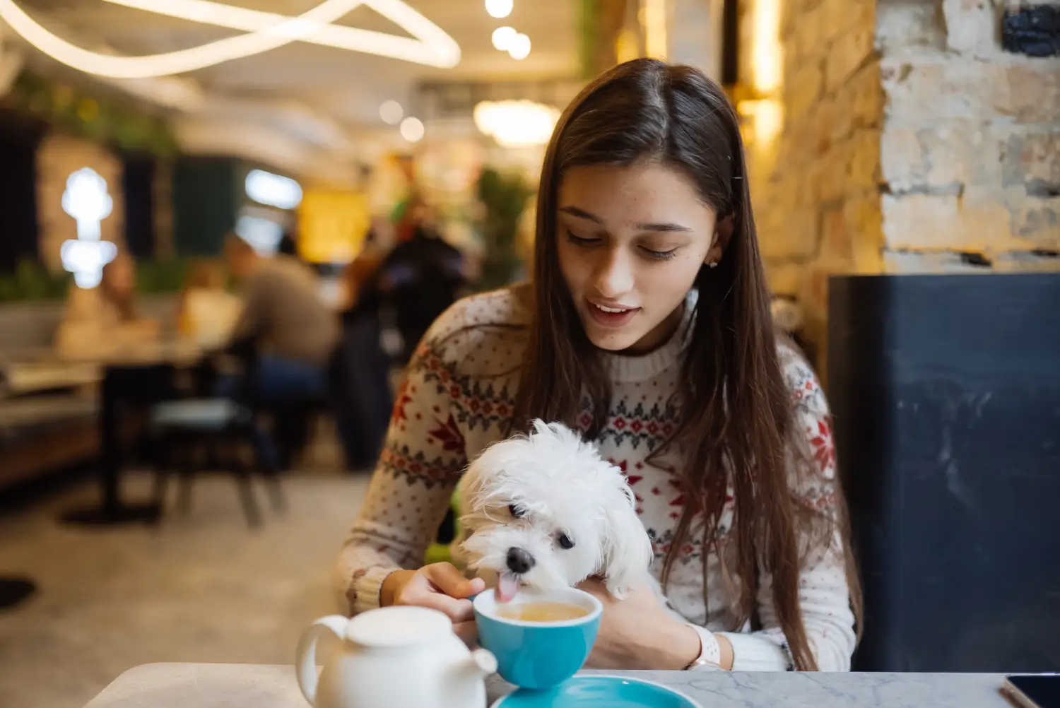 Dog-Friendly Restaurants In Flagstaff