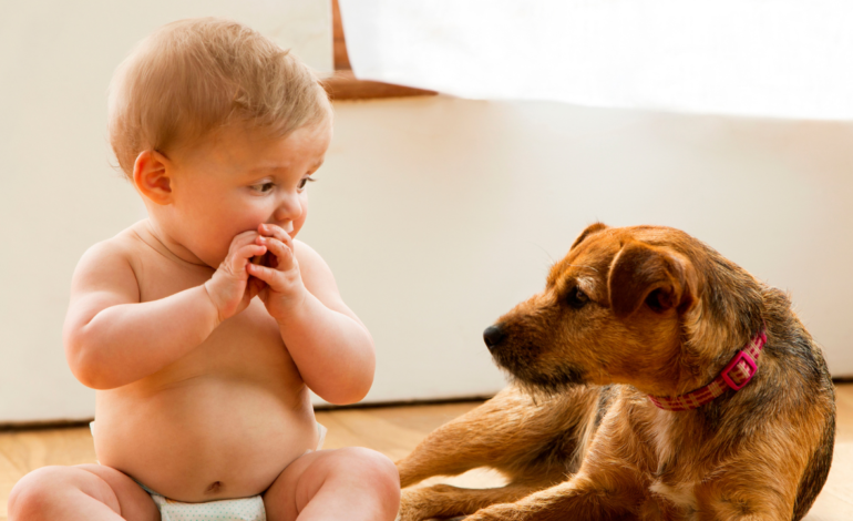 Introduce Your Child to a Dog for the First Time