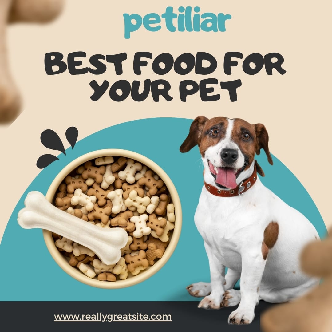 Chewy Dog Food: The Best Choice for Your Furry Friend