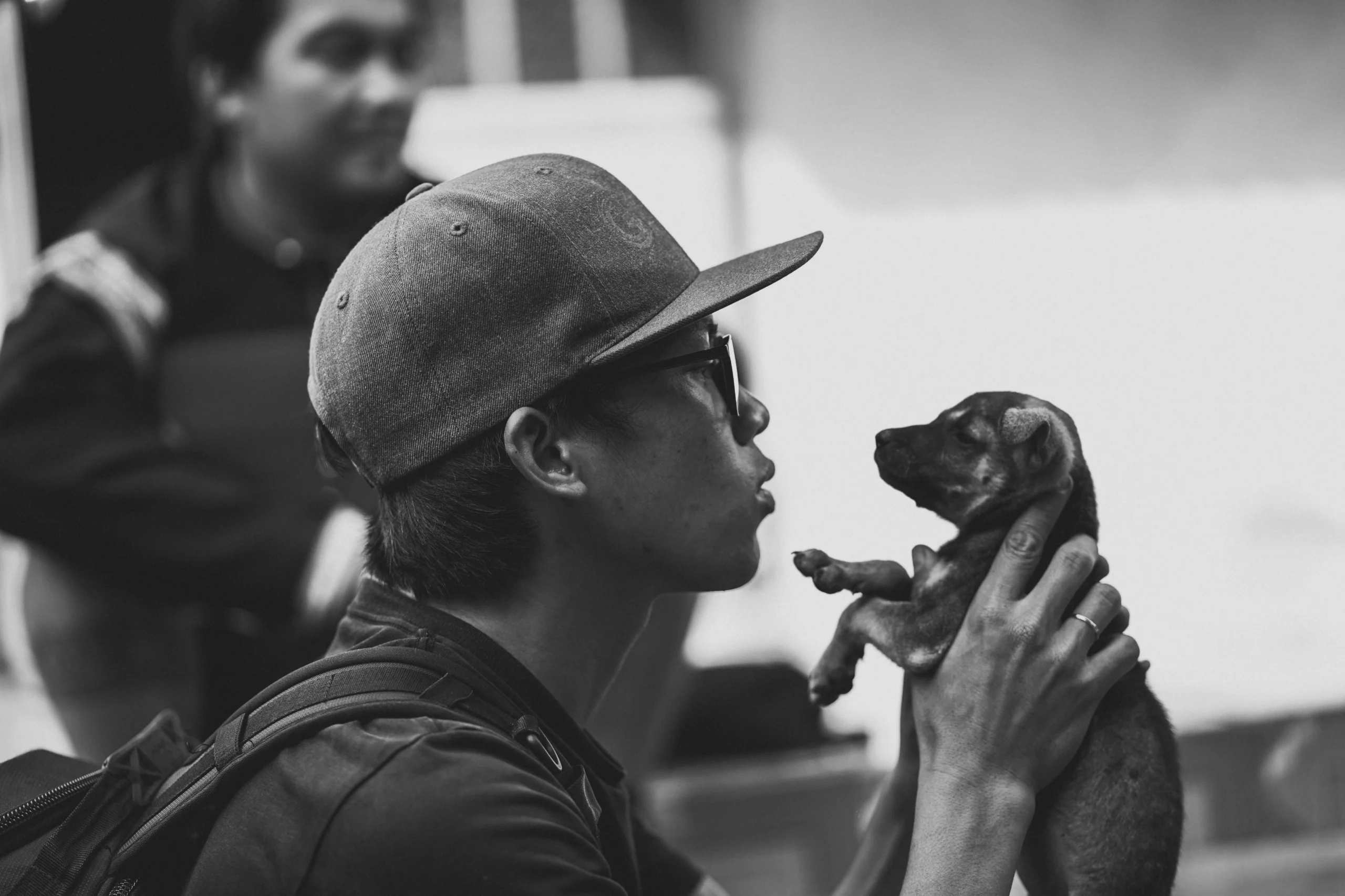 10 Free Pet Insurance Programs for Low-Income Families.